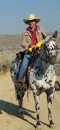 MJM Polled Herefords - Hereford Cows For Sale - Minnesota, Midwest, Marty, Julie, Malin